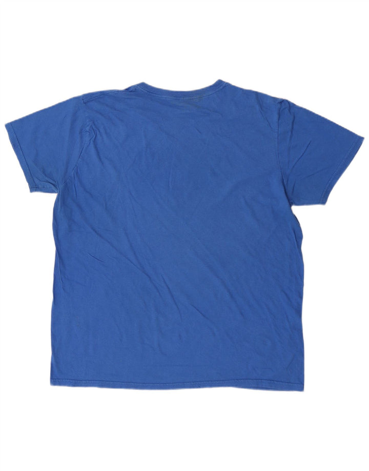 Męski T-shirt Reebok z grafiką, duży, niebieski
