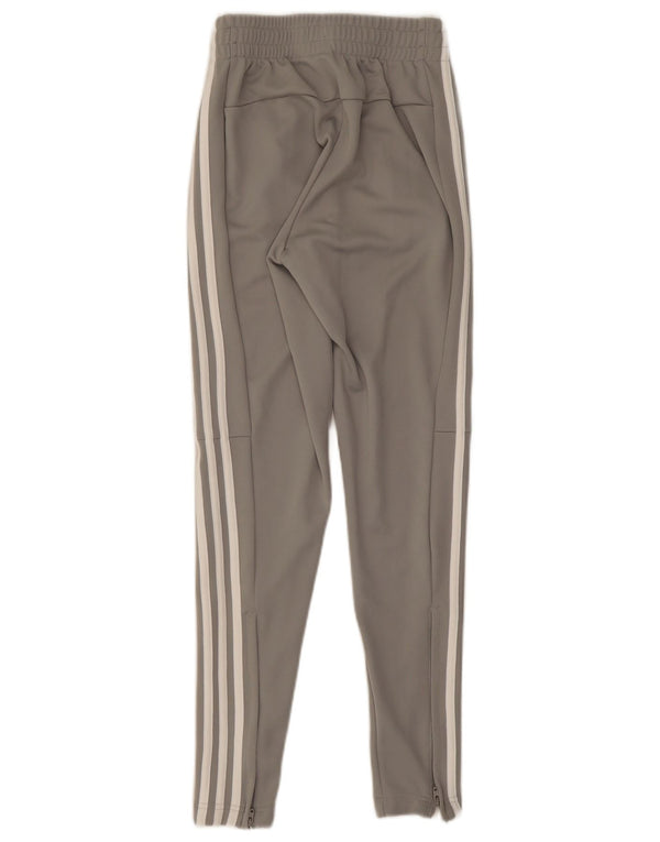 Damskie spodnie dresowe Adidas UK 0/2 2XS Szary poliester