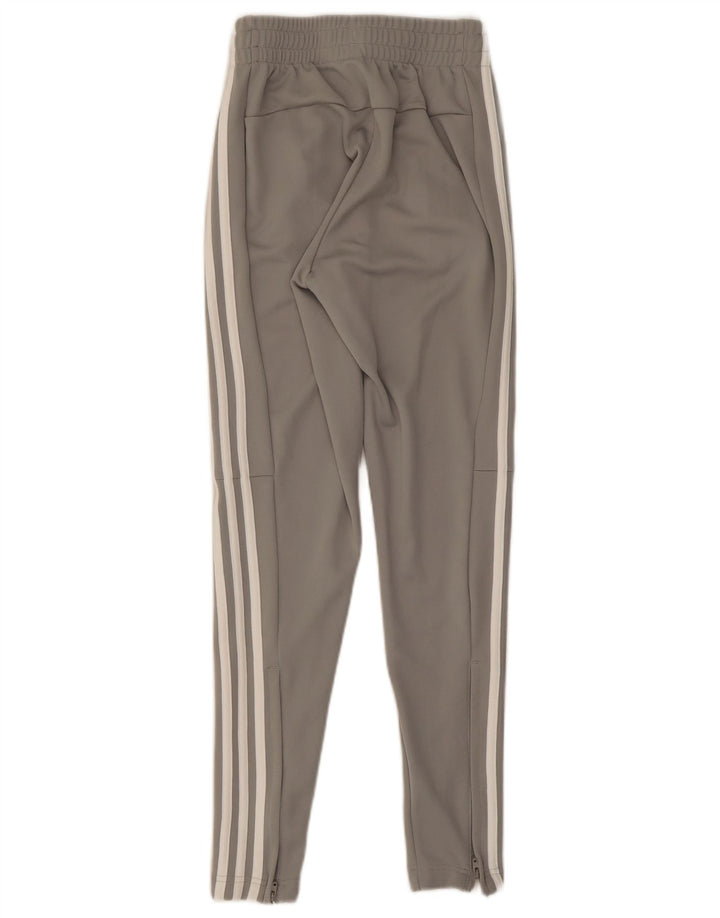 Damskie spodnie dresowe Adidas UK 0/2 2XS Szary poliester