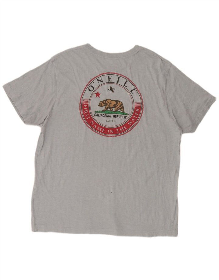 Męski T-shirt z grafiką O'Neill o standardowym kroju, XL, niebieski