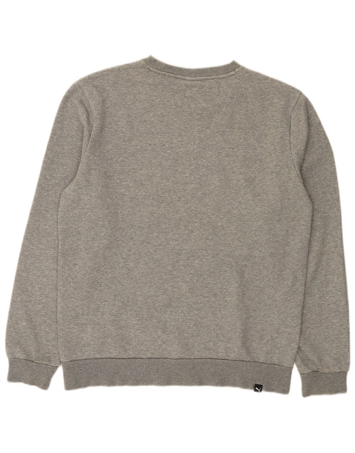 Męska bluza z grafiką Puma, średnia, szara, bawełniana nakrapiana
