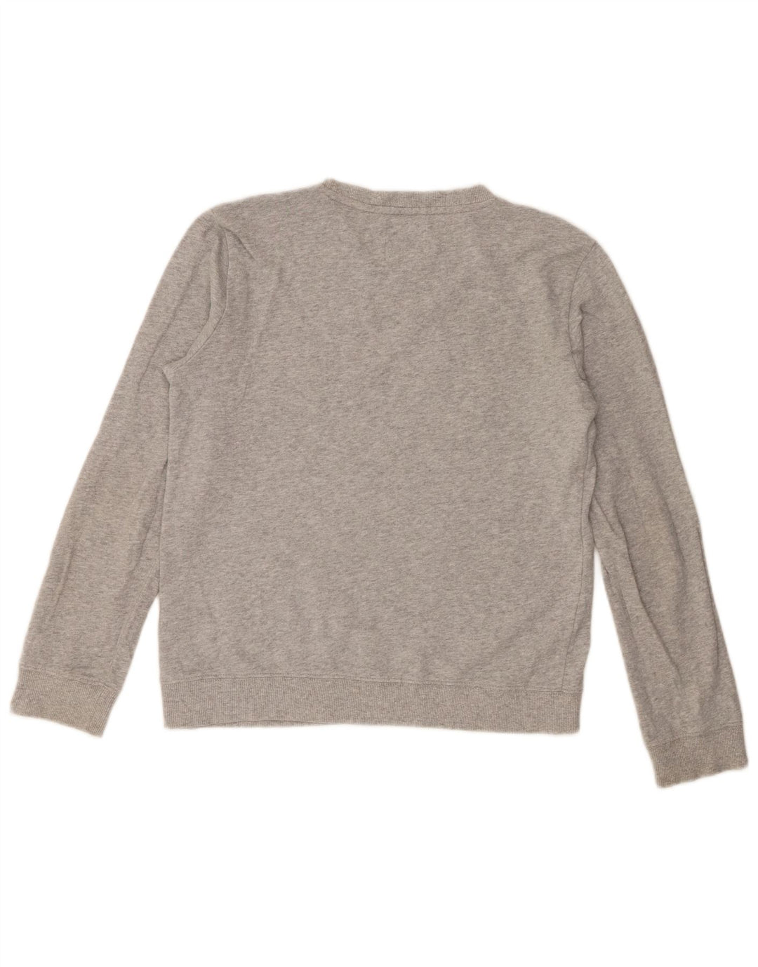 Bluza chłopięca z grafiką True Religion, 13-14 lat, duża, szara bawełna