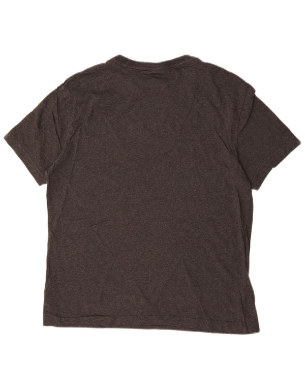 Męski T-shirt z grafiką Calvin Klein, duży, szary, bawełniany