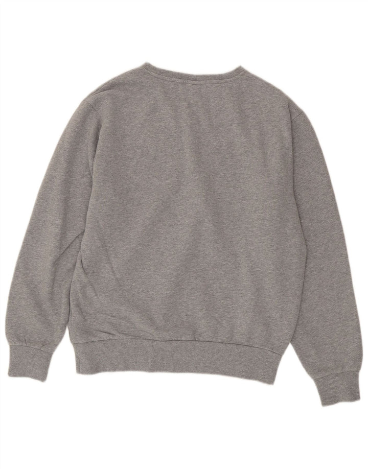 Męska bluza z grafiką ELLESSE, duża, szara, bawełniana