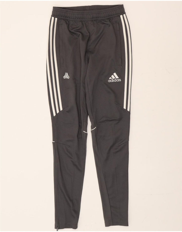 Męskie spodnie dresowe Adidas XS Szary poliester