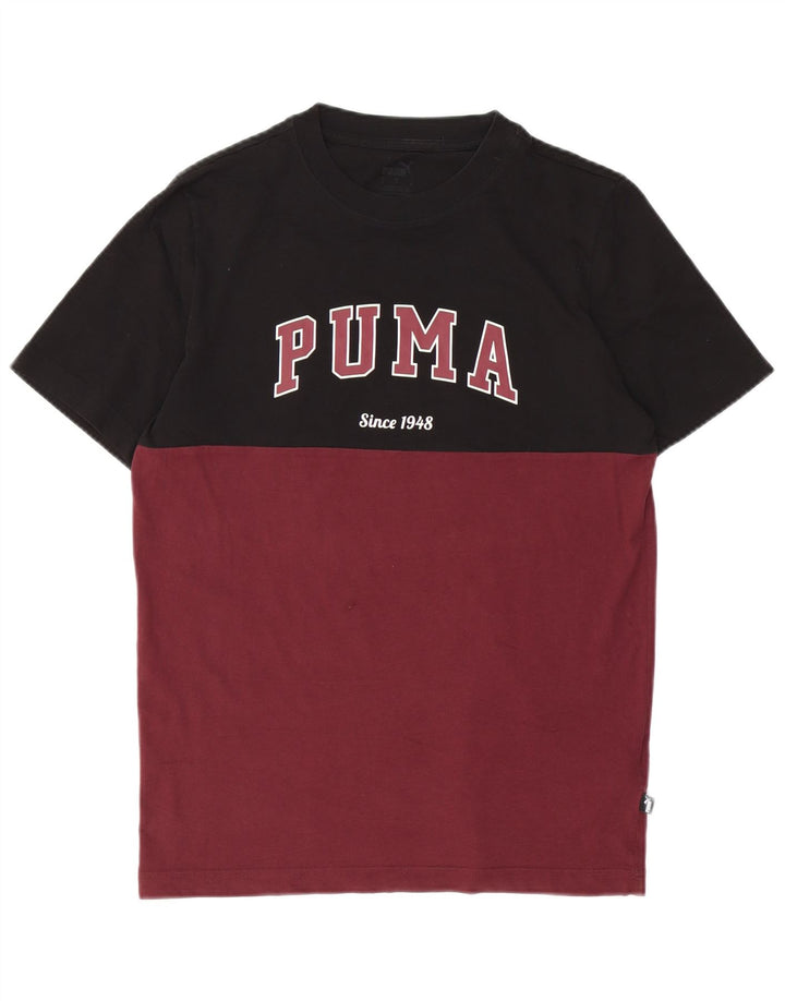 Męski T-shirt z grafiką Puma, mały, bordowy, bawełniany blok kolorów