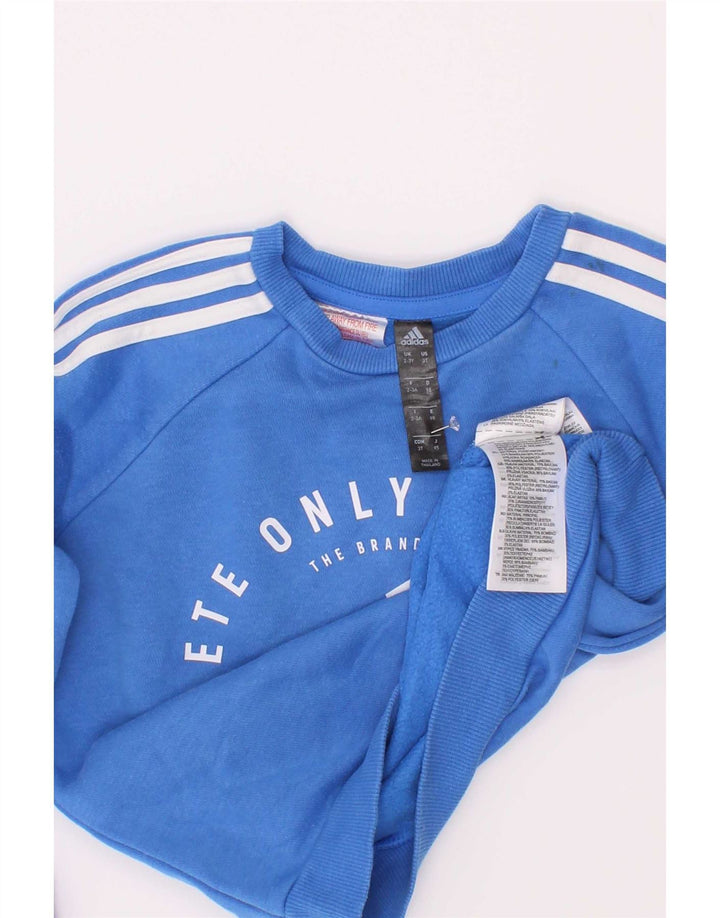 Bluza chłopięca Adidas z grafiką, 2-3 lata, niebieska bawełna