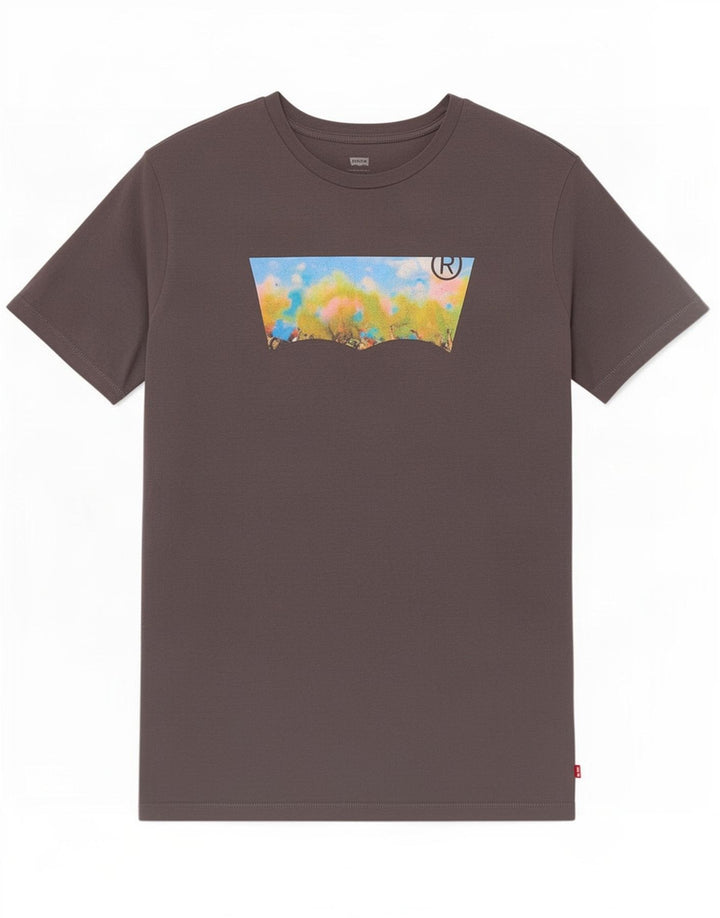 Męski T-shirt z grafiką Levi's, duży, szary