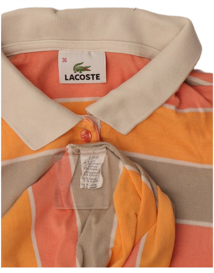 Damska koszulka polo Lacoste, rozmiar 36, mała, wielokolorowa, bawełniana w paski