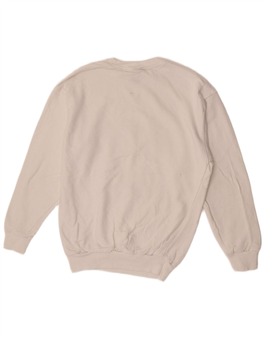 Męska bluza z grafiką Helly Hansen, mała, biała, z blokami kolorów, bawełniana