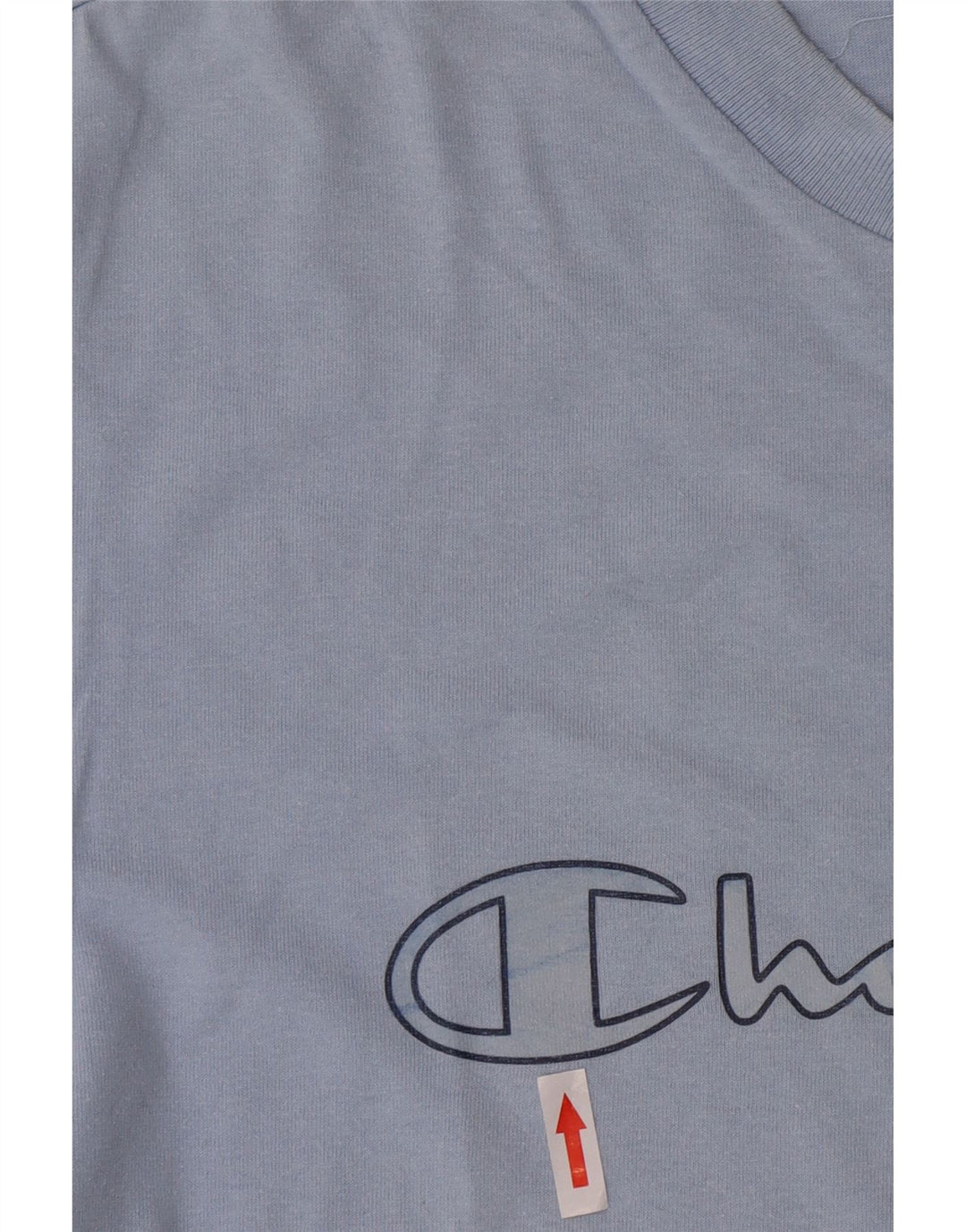 Męski T-shirt Champion z grafiką, duży, niebieski, bawełniany