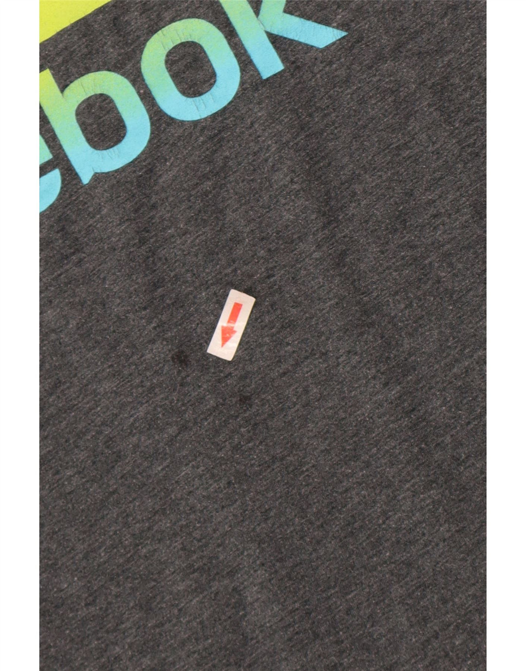 Męska koszulka Reebok z grafiką, duża, szara, poliestrowa