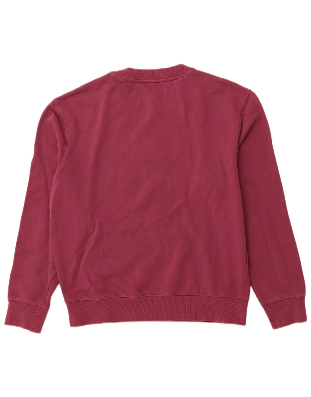 Męski sweter CALVIN KLEIN JEANS z grafiką, kolor średniofioletowy