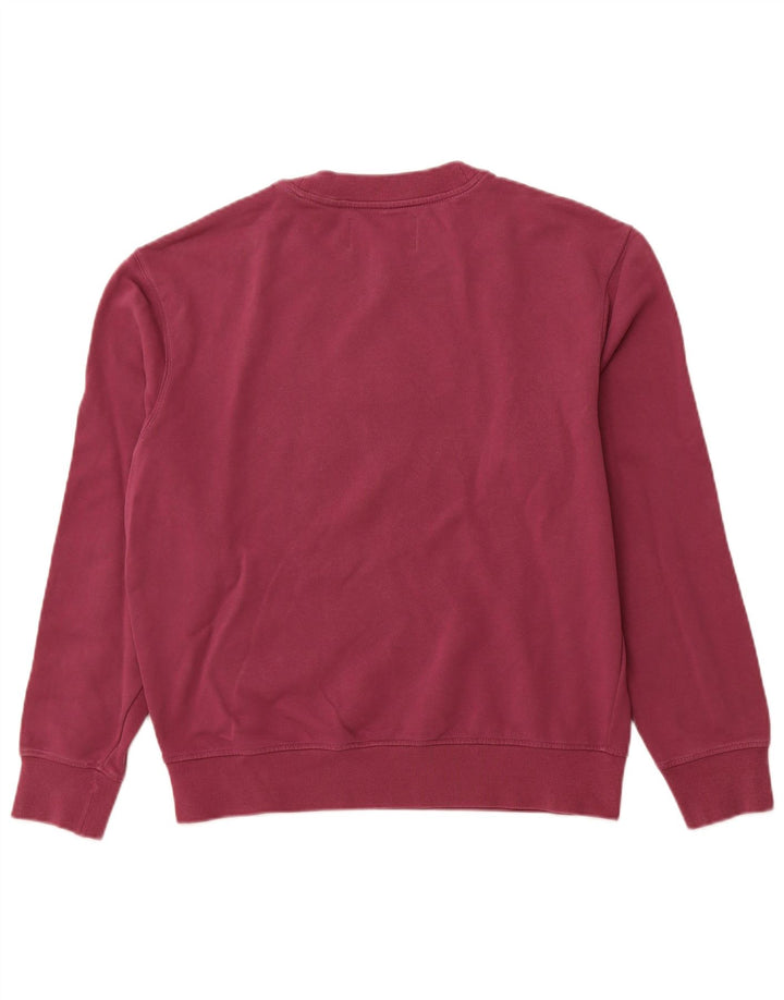 Męski sweter CALVIN KLEIN JEANS z grafiką, kolor średniofioletowy