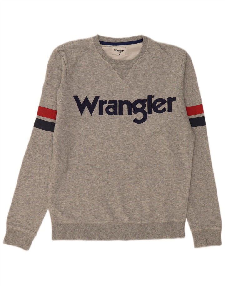 Męska bluza z grafiką Wrangler, mała, szara, bawełniana w bloki kolorów