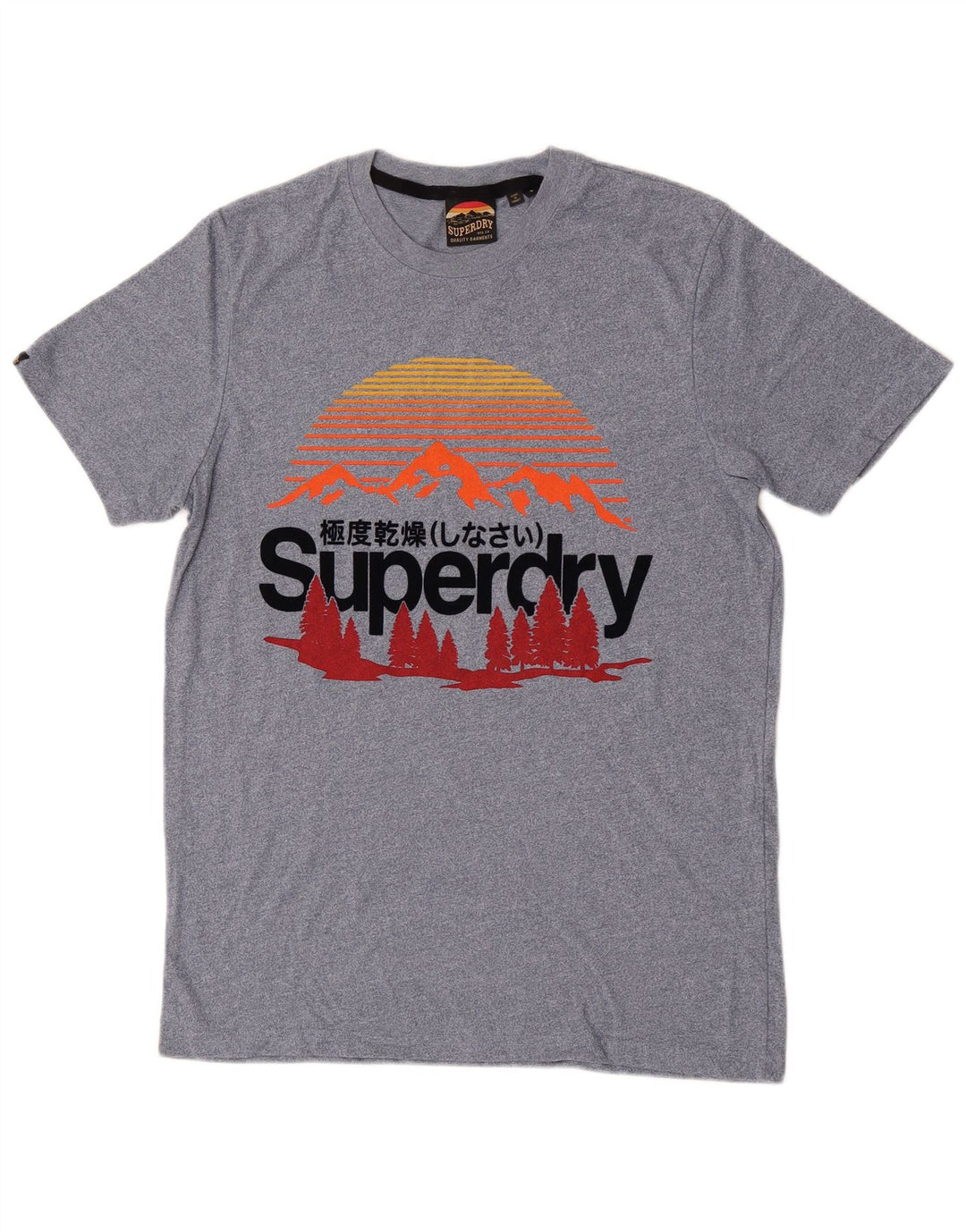 Męski T-shirt z grafiką Superdry, mały, niebieski, bawełniany