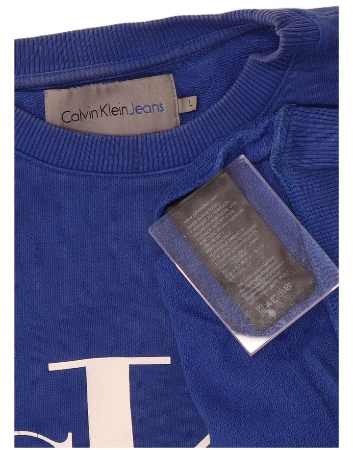 CALVIN KLEIN JEANS Męski sweter z grafiką, duży, niebieski, bawełniany