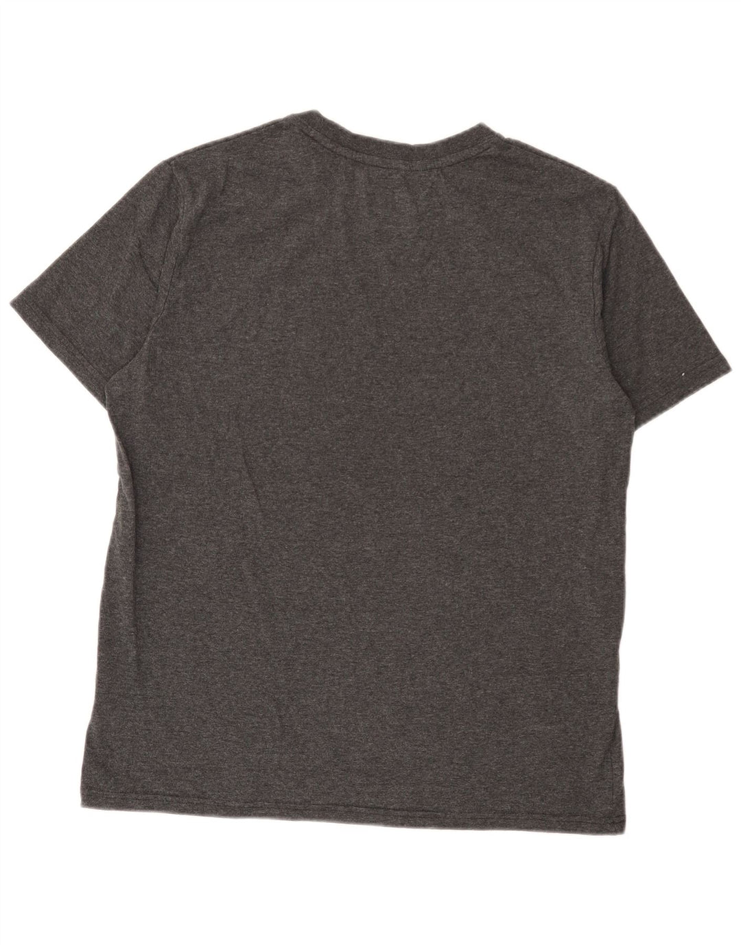 Męski T-shirt z grafiką Fila, duży, szary, poliestrowy