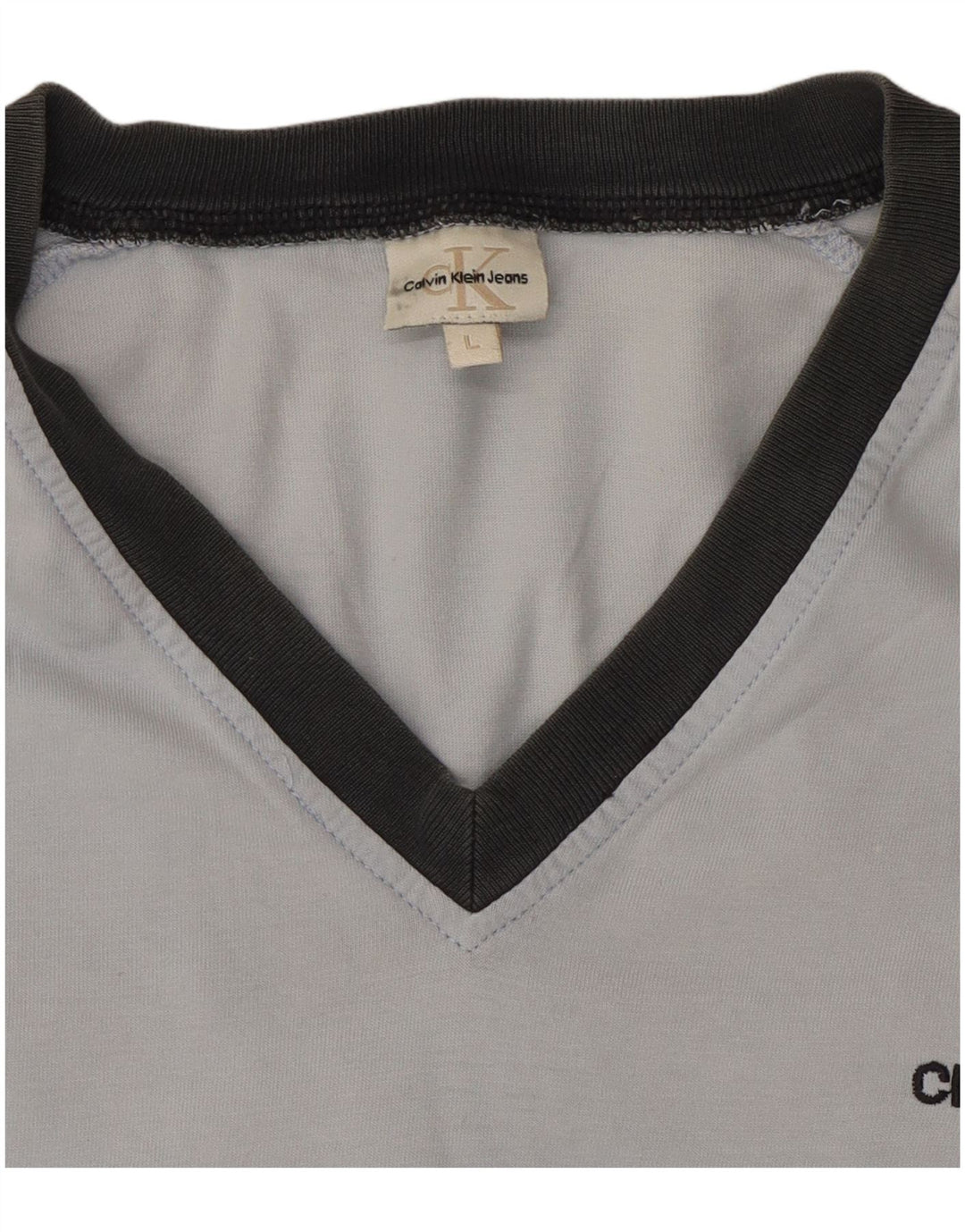 Męski T-shirt z grafiką CALVIN KLEIN JEANS, duży, niebieski