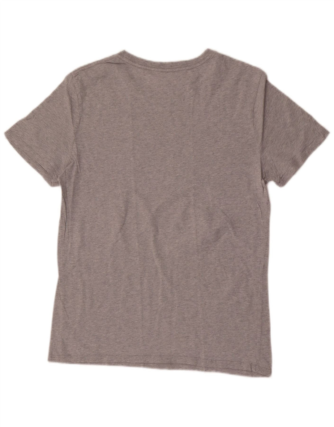 Męski T-shirt Guess z grafiką, mały, szary