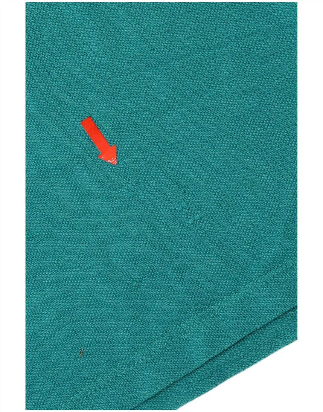 Męska koszulka polo Champion XL, niebieska, bawełniana