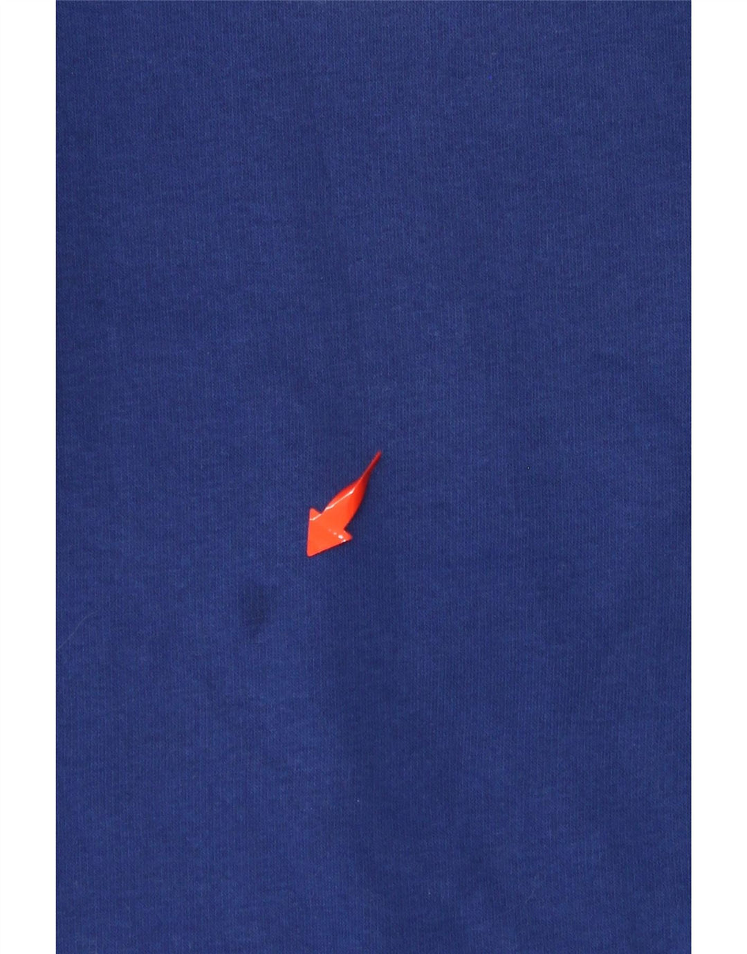 Męska bluza z grafiką CHAMPION, mała, niebieska, bawełniana