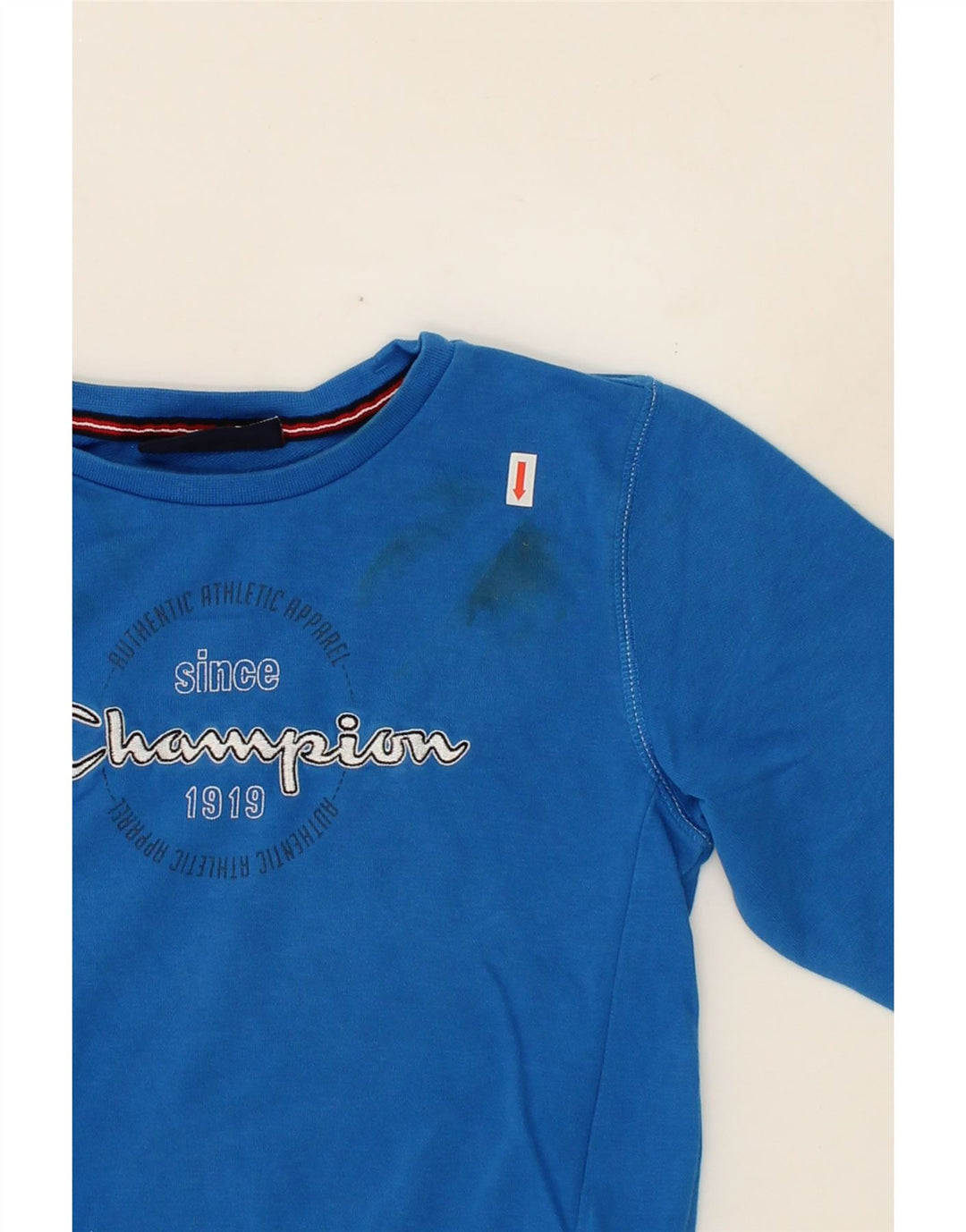 CHAMPION Boys Graphic Sweatshirt Jumper 7-8 Years Small Blue Cotton Vintage Champion and Second-Hand Champion from Messina Hembry 