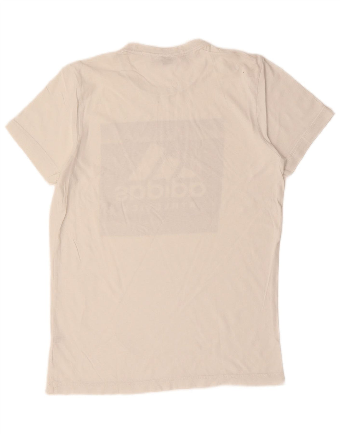 Męska koszulka z grafiką Adidas, mała, biała, bawełniana