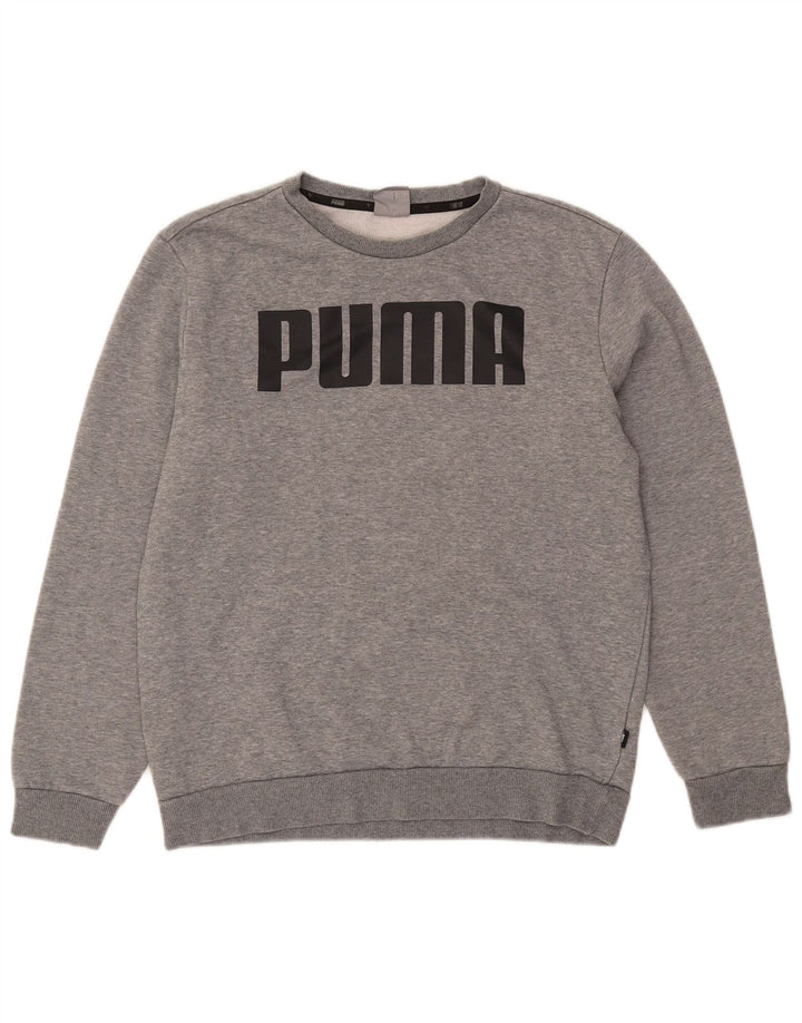 Męska bluza z grafiką Puma, średnia, szara, bawełniana nakrapiana