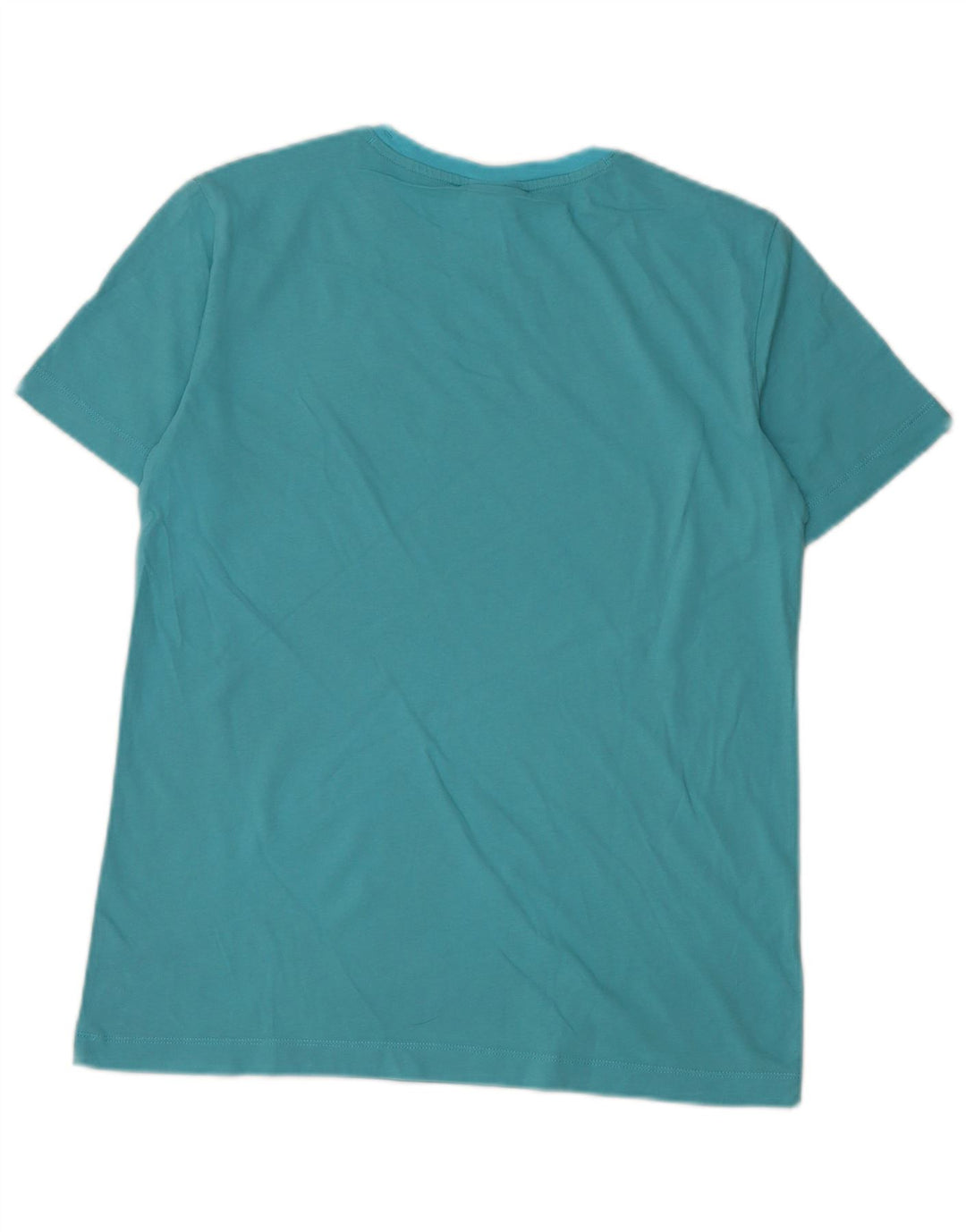 Męski T-shirt Champion z grafiką, średni niebieski
