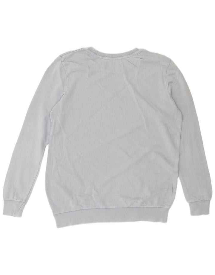 Męska bluza z grafiką Calvin Klein Jeans, mała, niebieska, bawełniana
