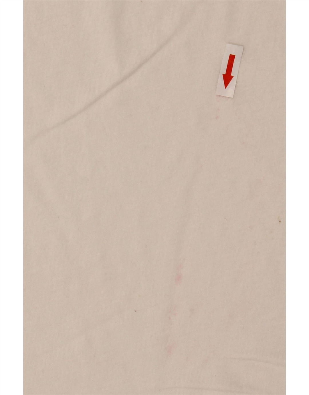 Męska koszulka z grafiką Replay, średnia biel