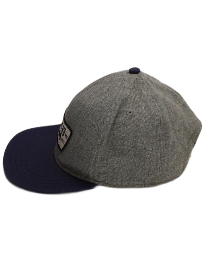 Męska czapka z daszkiem Vans Graphic, jeden rozmiar, szara