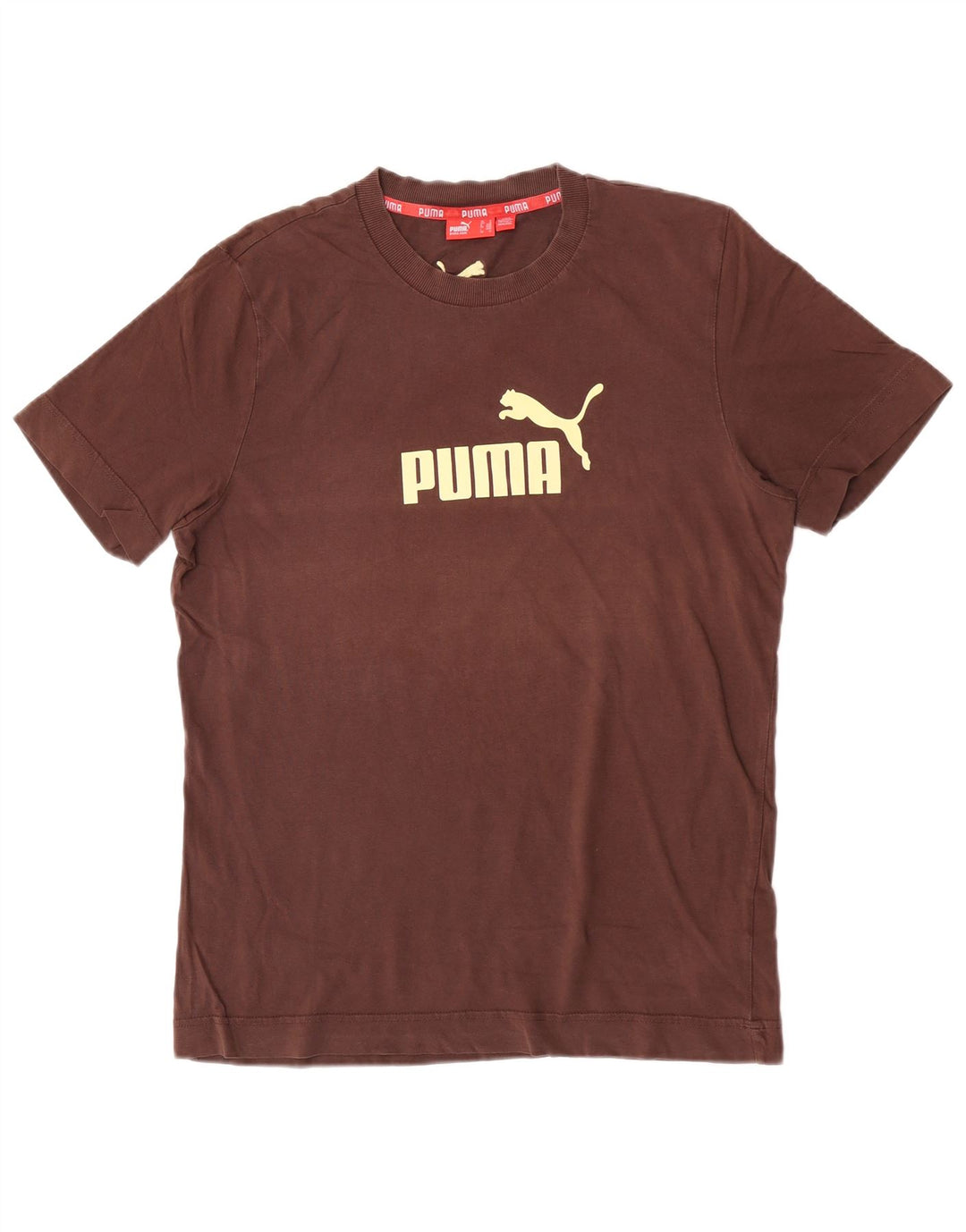 Męski T-shirt Puma z grafiką, średni brąz