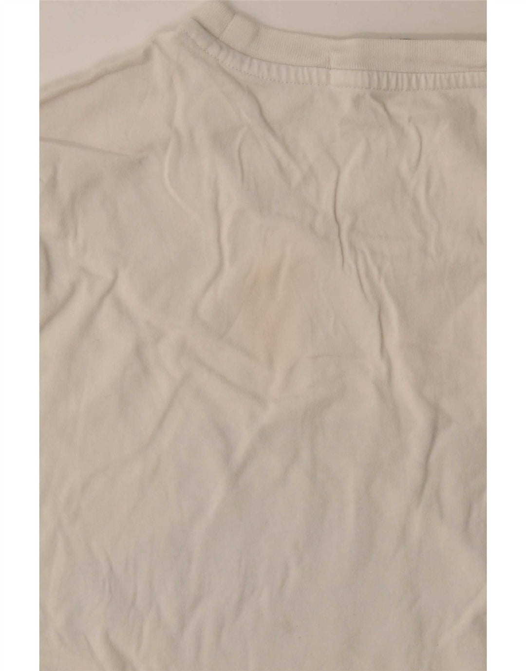 Męska koszulka z grafiką Calvin Klein Jeans, średnia, biała bawełna