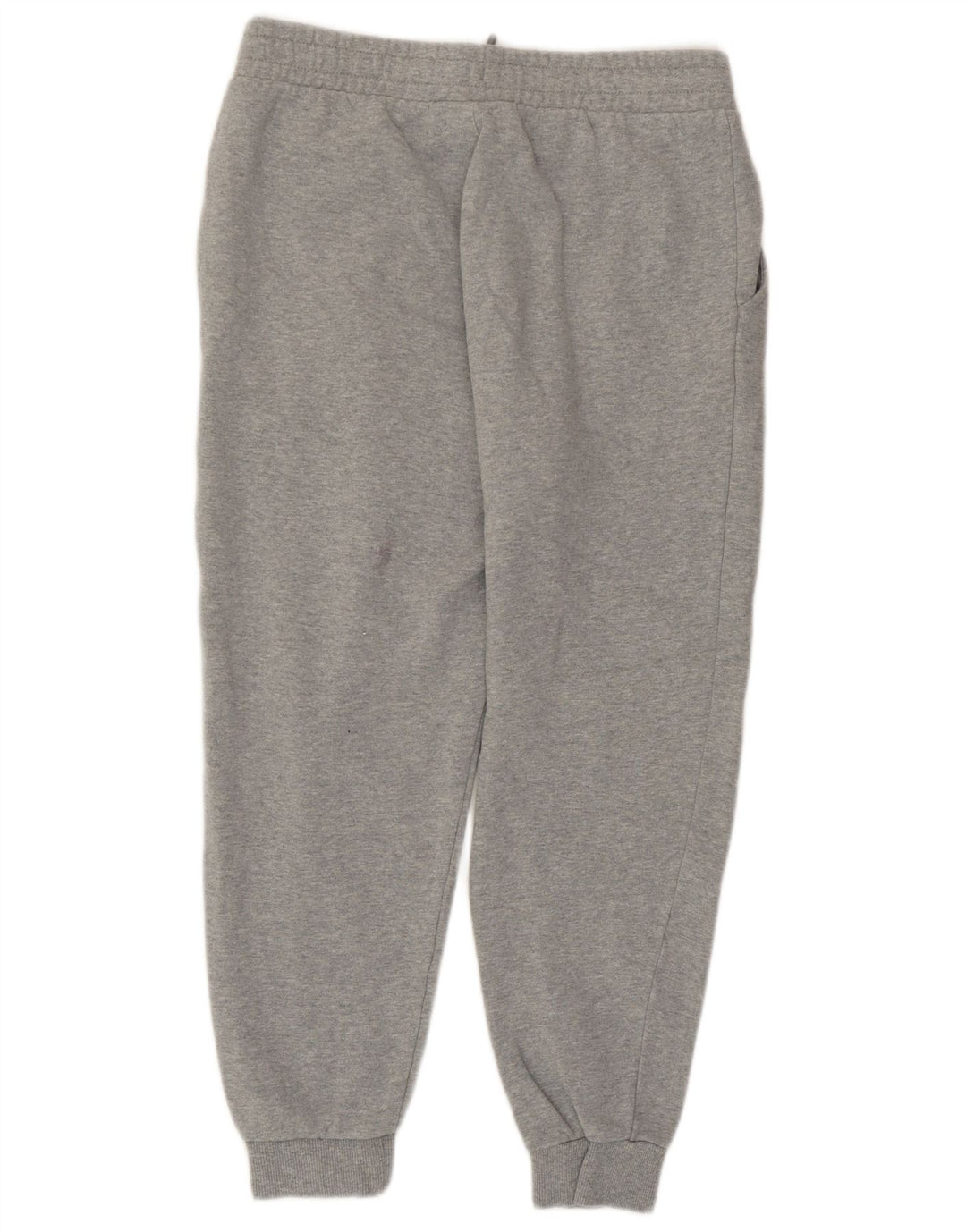 Męskie spodnie dresowe Fila Joggers Small, szare, bawełniane