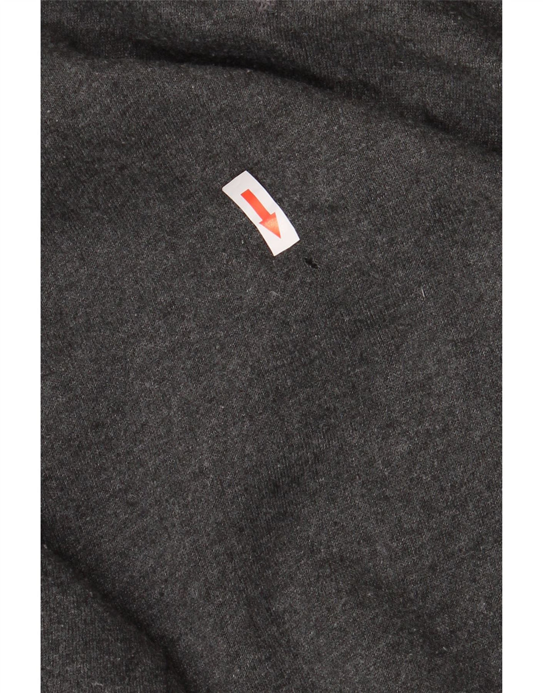 Bluza męska RUSSELL ATHLETIC, duża, szara, bawełniana