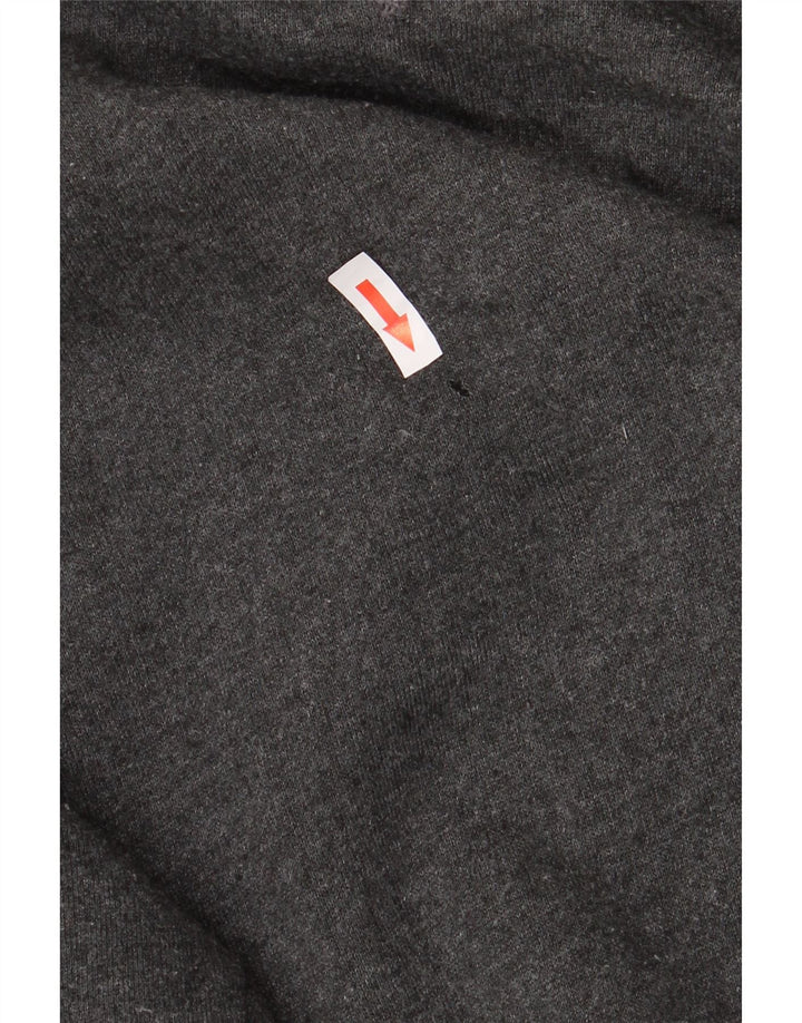 Bluza męska RUSSELL ATHLETIC, duża, szara, bawełniana