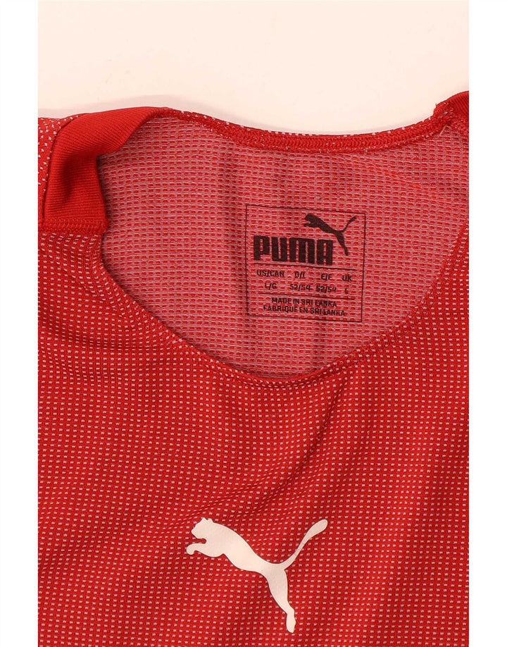 Męski T-shirt z grafiką Puma, duży, w czerwone paski