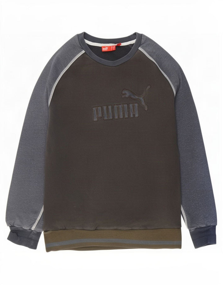 Męska bluza z grafiką Puma, sweter, średni granat, blok kolorów