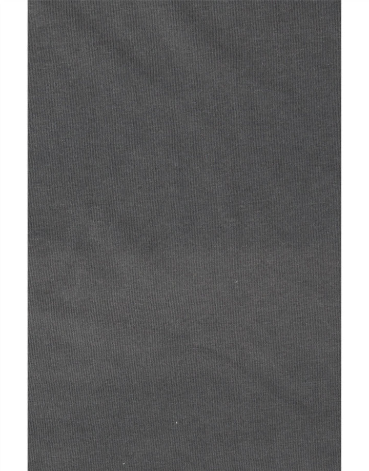 Męski T-shirt Vans Classic Graphic, duży, szary