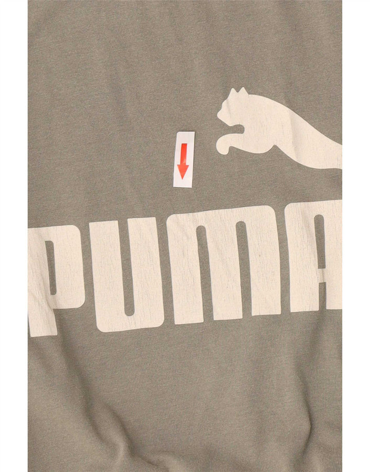 Męski T-shirt z grafiką Puma, mały, szary