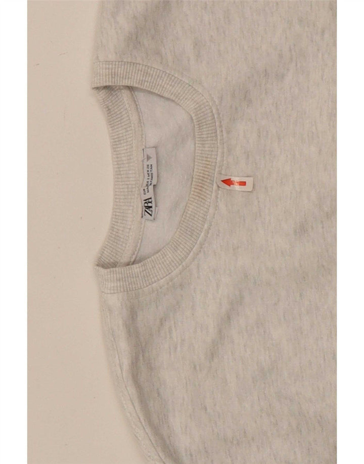 Damska bluza oversize Zara Crop Jumper UK 10 Small Grey Flecked
