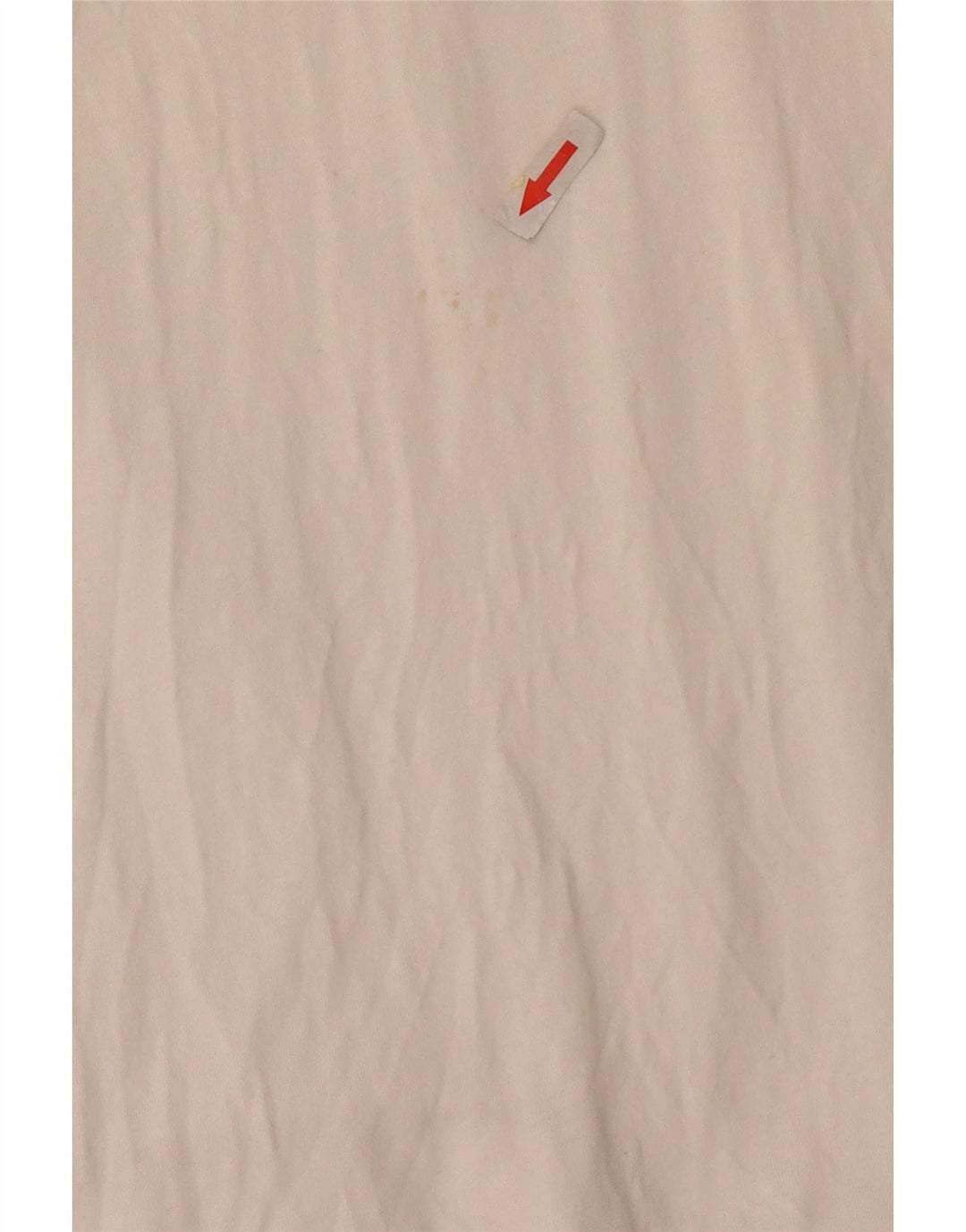 Męski T-shirt z grafiką Rip Curl o standardowym kroju, duży, biały