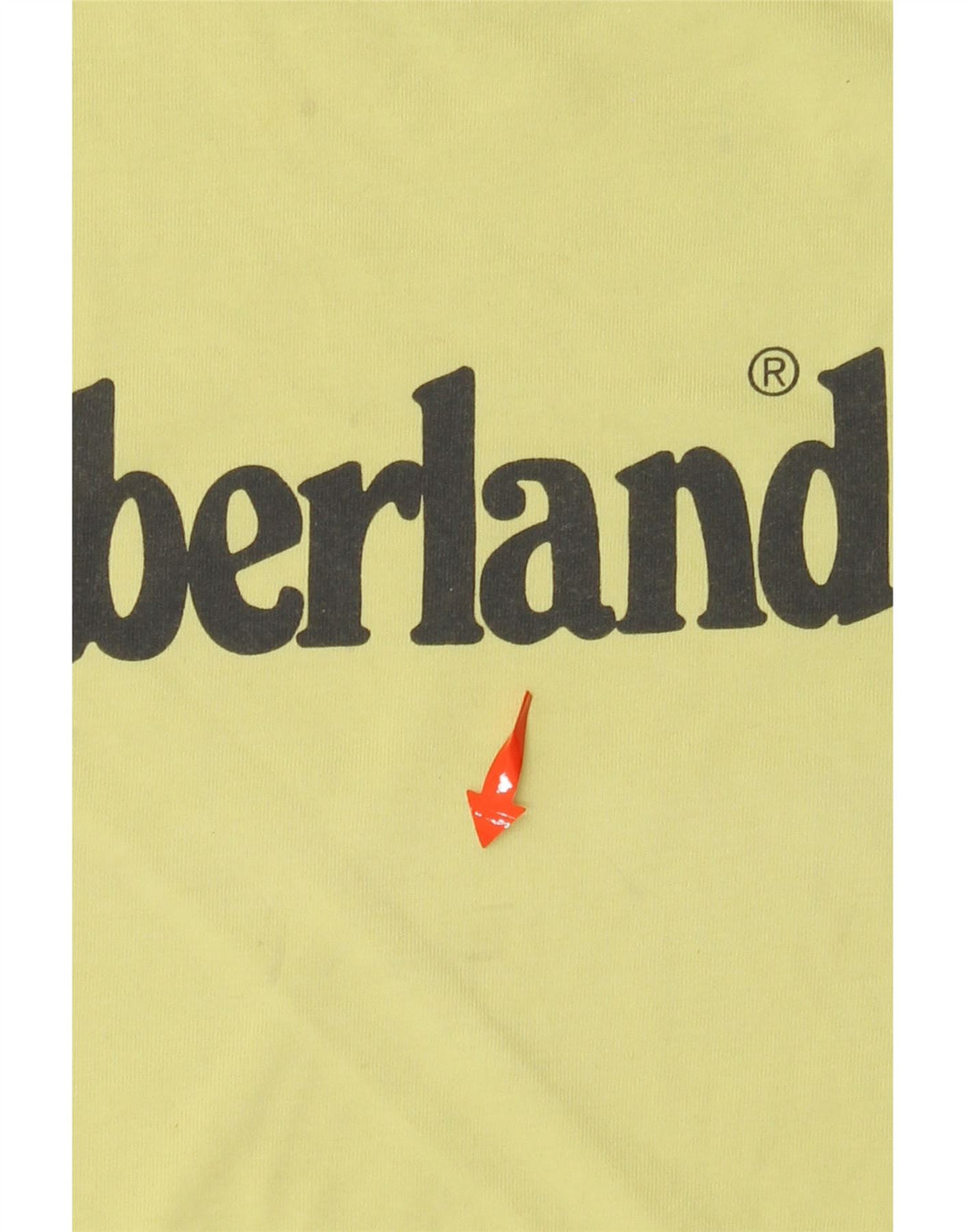 Chłopięcy T-shirt z grafiką TIMBERLAND 13-14 lat, mały, zielony, bawełniany