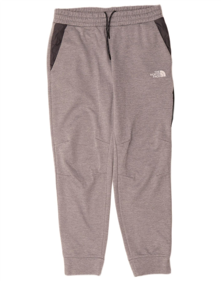 Męskie spodnie dresowe The North Face Joggers w kolorze średnioszarym