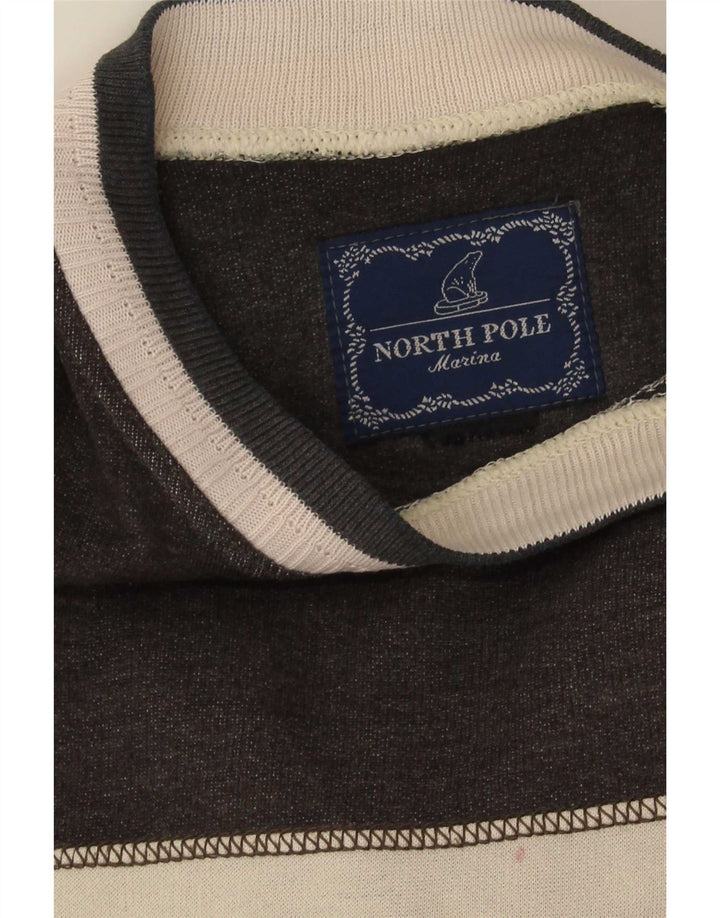 Męska bluza z grafiką North Pole, średnioszara, z blokami kolorów