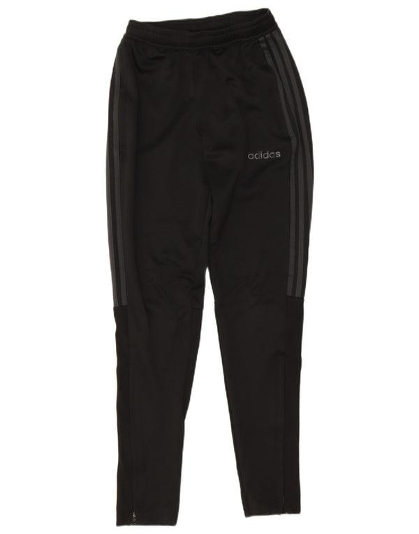 Damskie spodnie dresowe Adidas Climalite UK 4 XS, czarne, poliestrowe