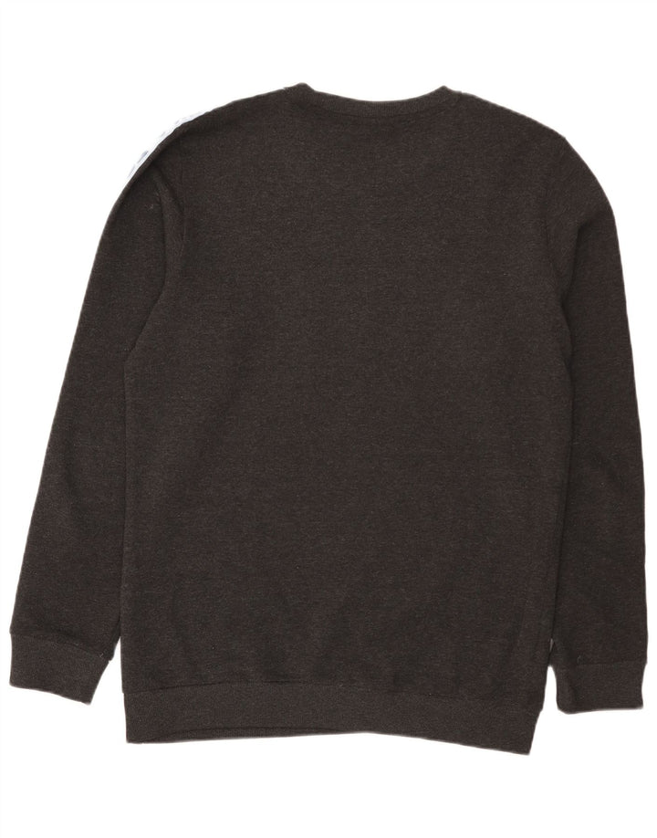 Męski sweter z grafiką Fila, duży, szary, kolorowy poliester