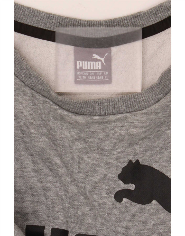Męska bluza z grafiką Puma XL, szara, nakrapiana